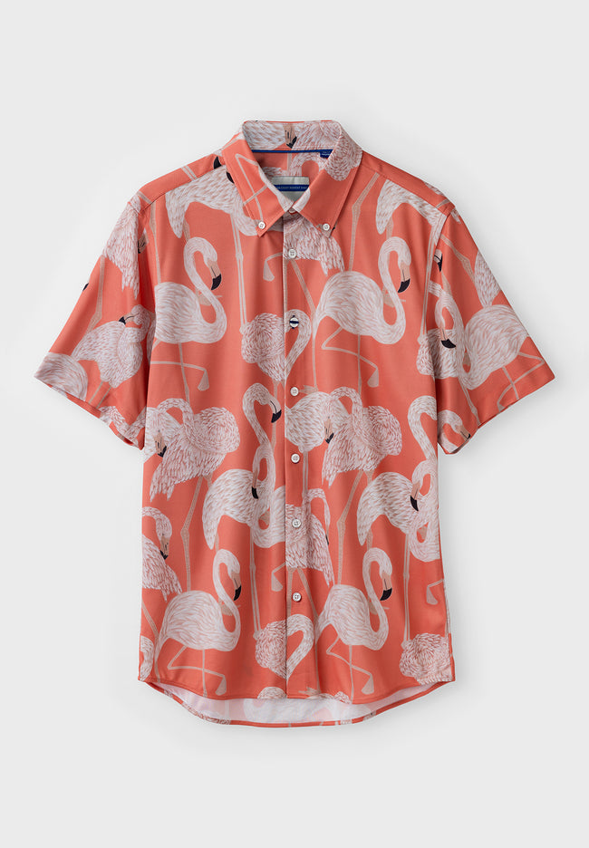 La chemise Lucas