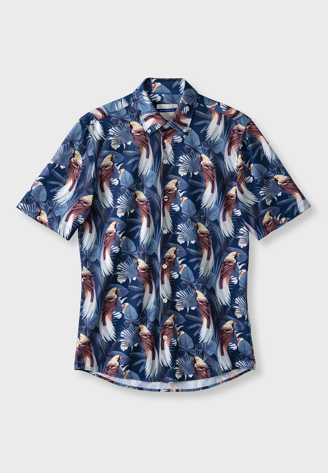 The Hilaire shirt