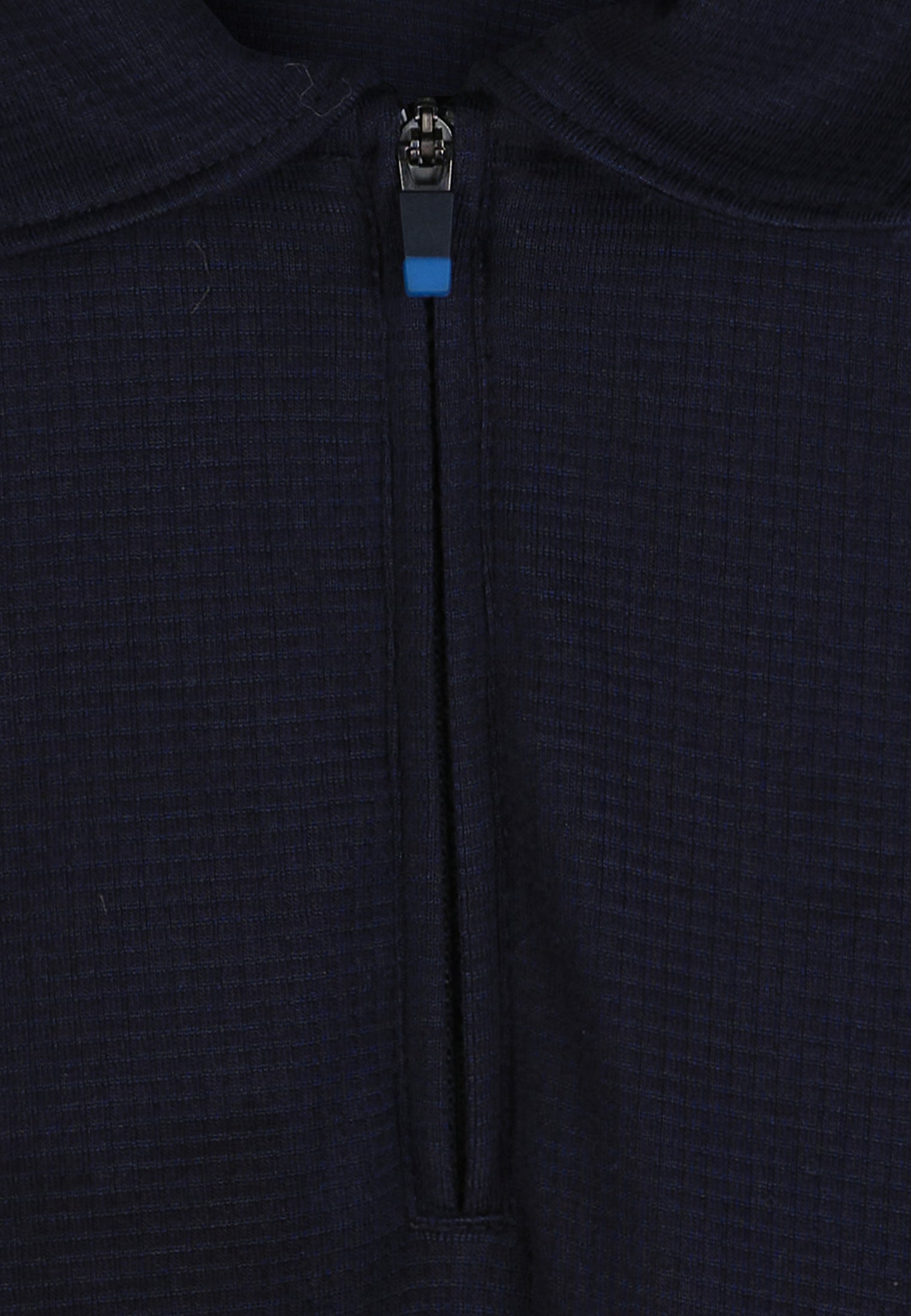 The Blue Polo Shirt