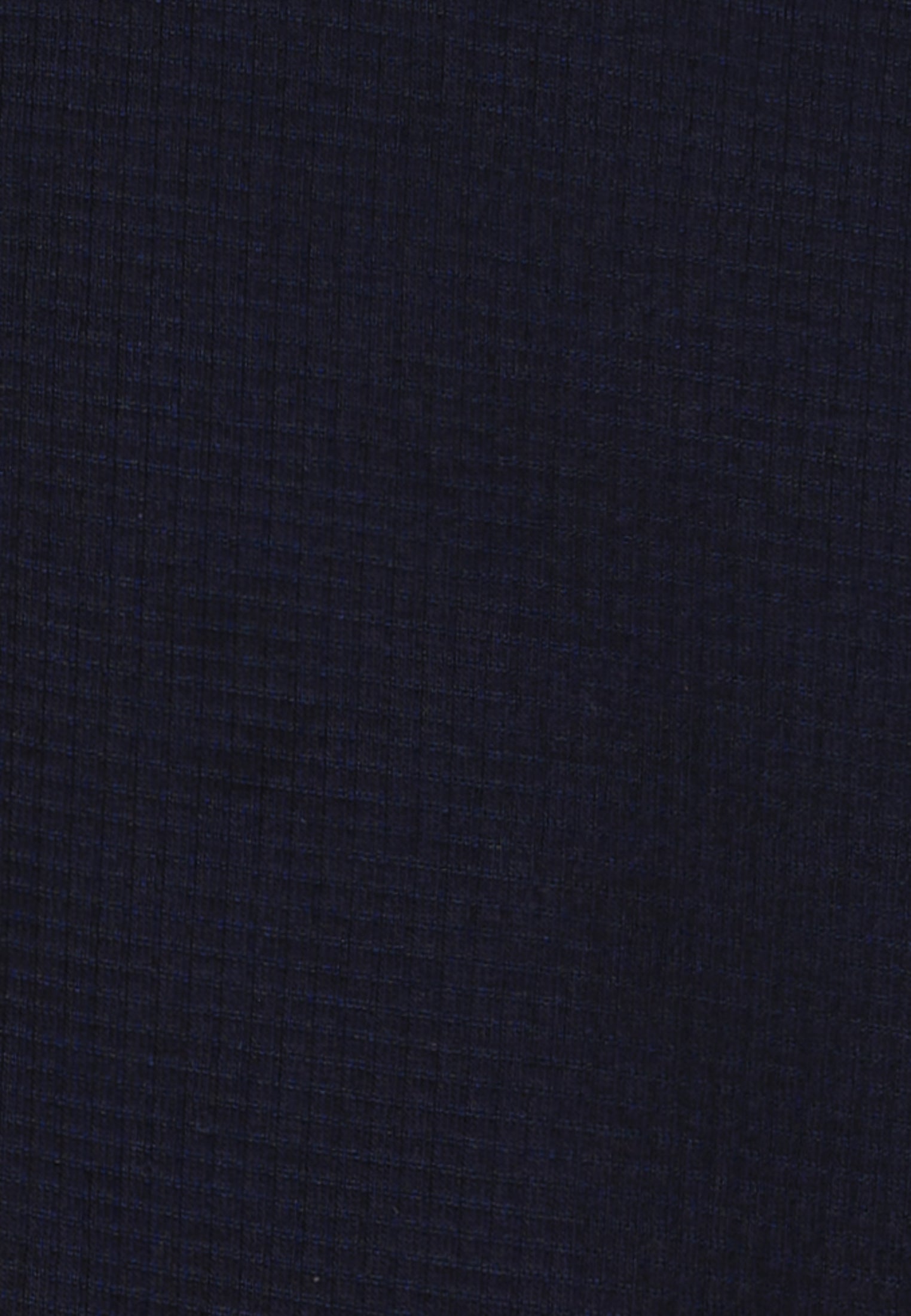 The Blue Polo Shirt