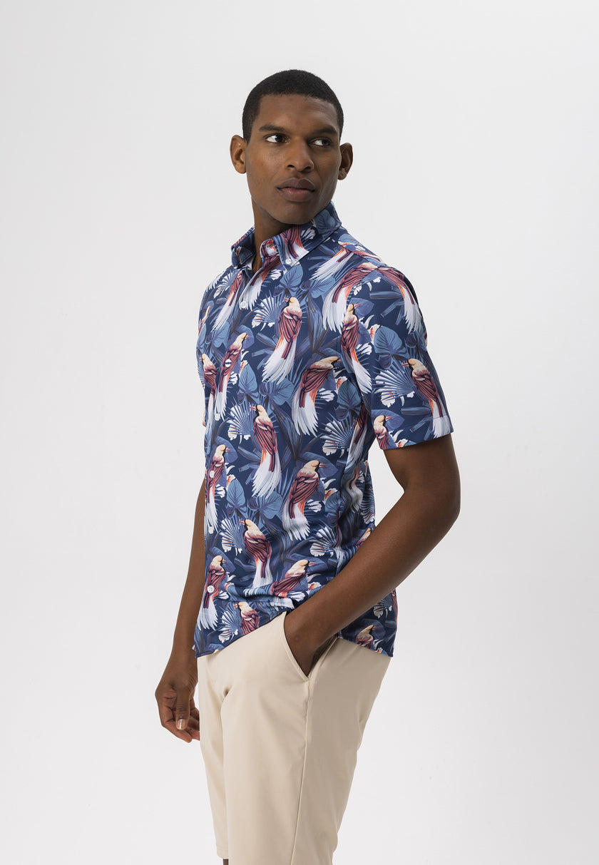 The Hilaire shirt